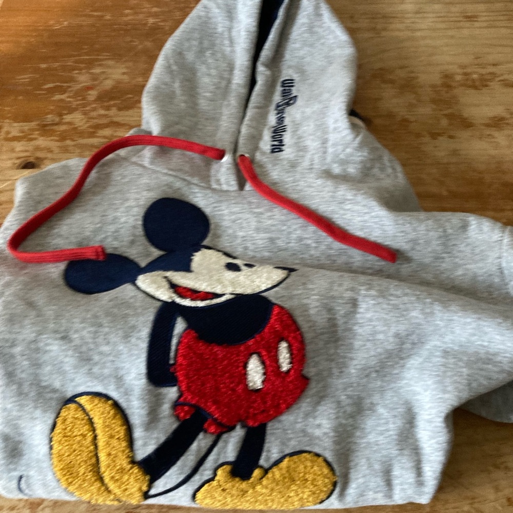 Disney world sweatshirt with hood